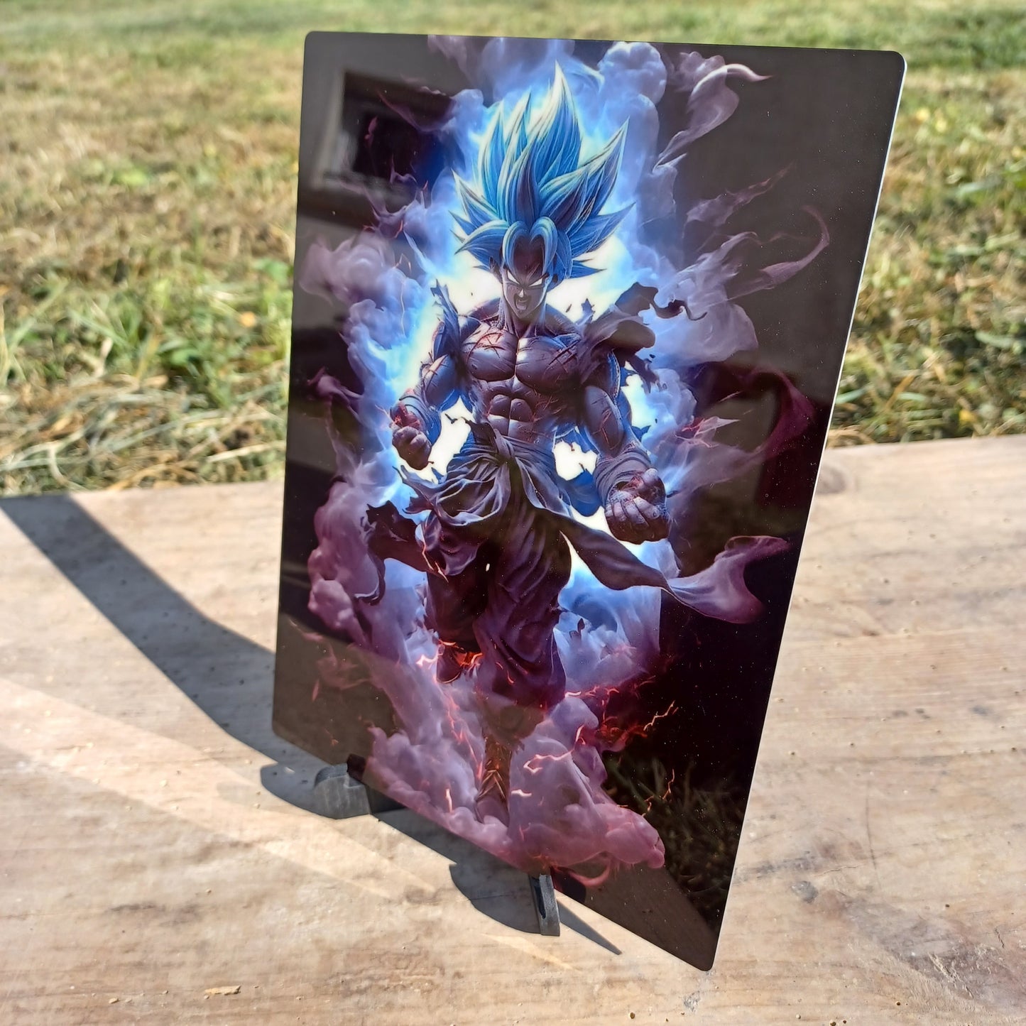 Tableau Photo dragon ball