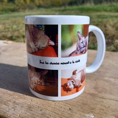 mug la sieste des chats