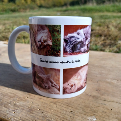 mug la sieste des chats