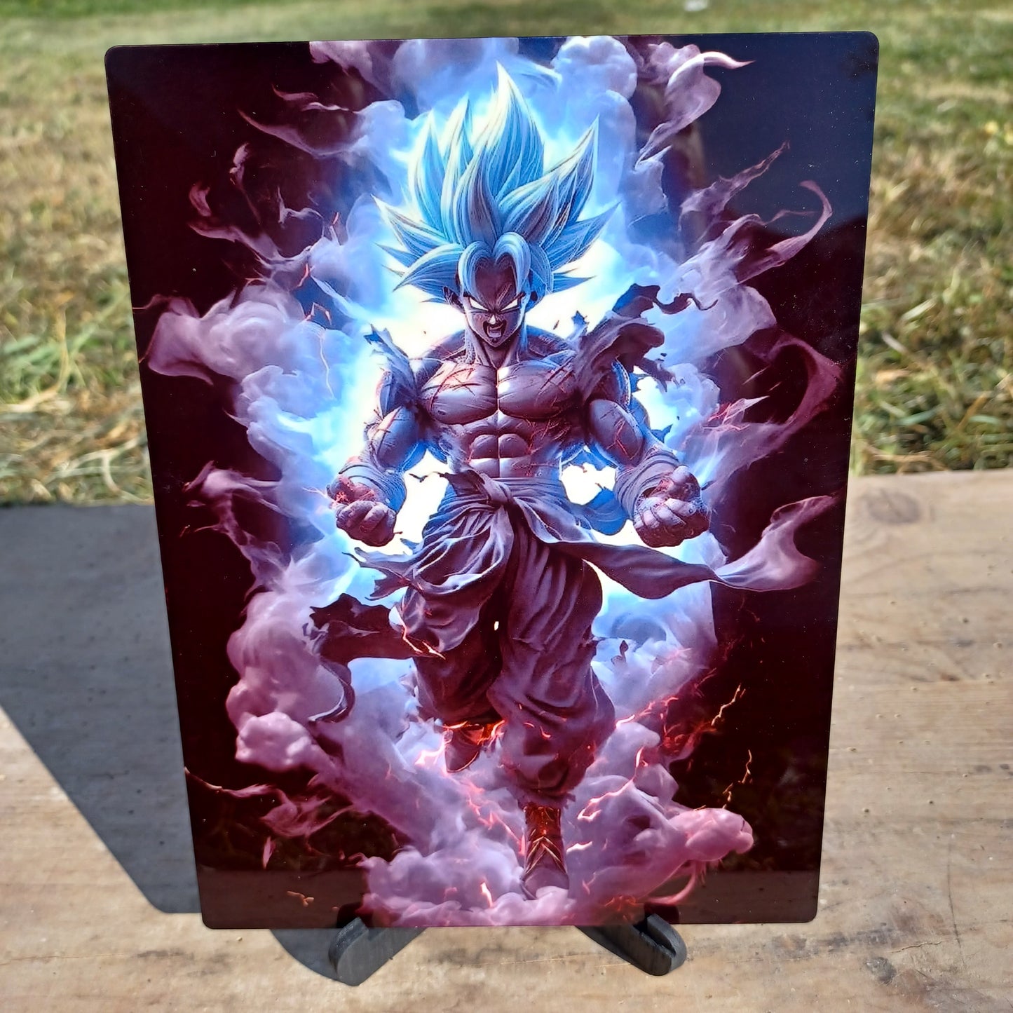 Tableau Photo dragon ball