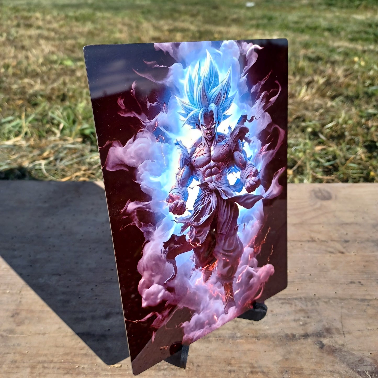 Tableau Photo dragon ball