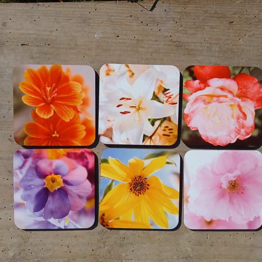 Sous-verres fleurs
